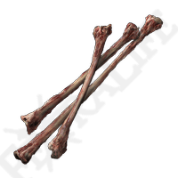 Thin Beast Bones
