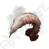 Boiled Prawn *10