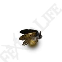 Gold Firefly