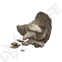 Human Bone Shard *999