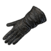 Preceptor's Gloves