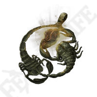 Sacred Scorpion Charm