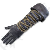 Traveler's Gloves