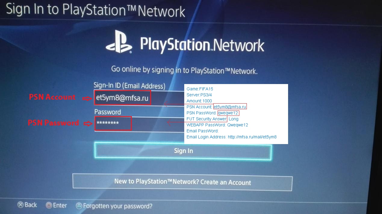 psn.jpg