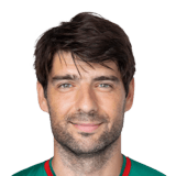 Vedran Corluka