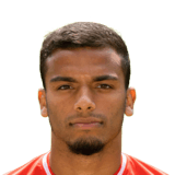 Owen Wijndal