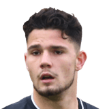 Nikola Tavares