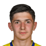 Armin Gigovic