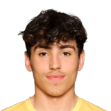 Sebastian Tounekti