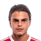 Vlad Mitrea