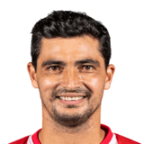 Gonzalo Castro
