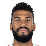 Eric Maxim Choupo-Moting