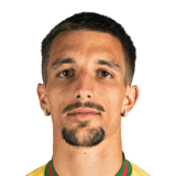 Fernando Manuel Ferreira Fonseca