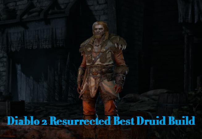 diablo 2 Druid build