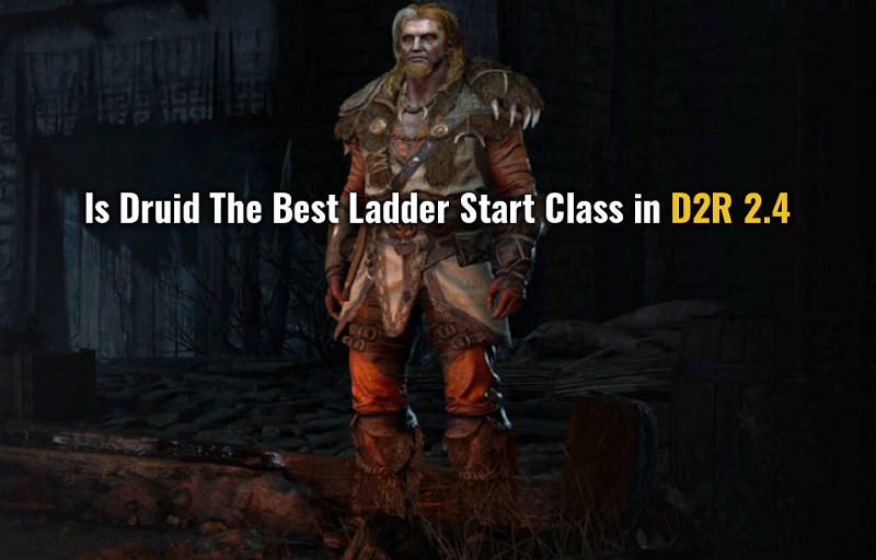 Is Druid The Best Starter Class For D2R Ladder Reset PTR 2.4?