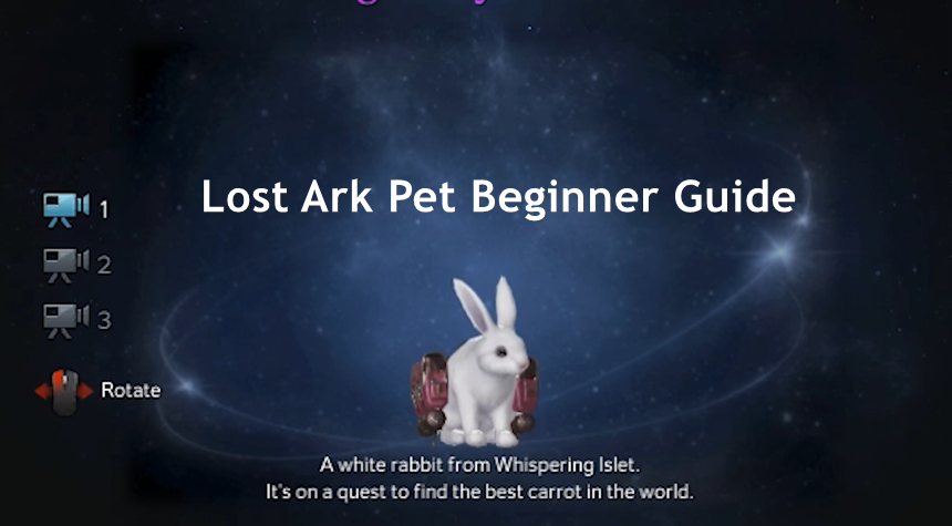 Lost Ark Pets Beginner Guide - How To Get A Free Pet & Choose The Best Pets For You