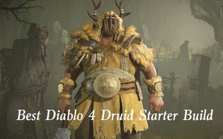 Best Diablo 4 Druid Starter Build - DPS Druid Build Guide with Skills & Legendaries for D4 Launch